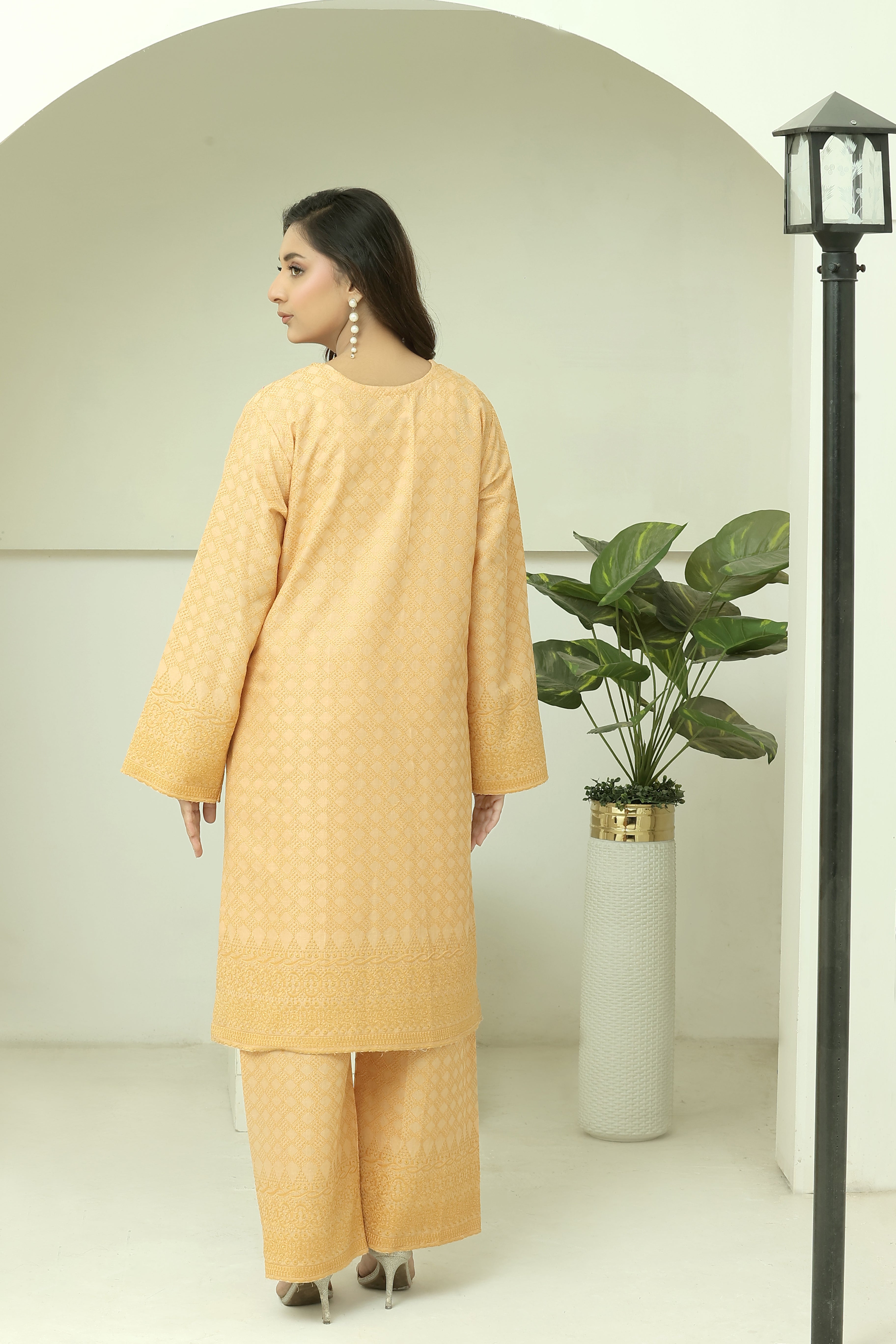 Premium Chikankari Ready-to-Wear 2pcs suit