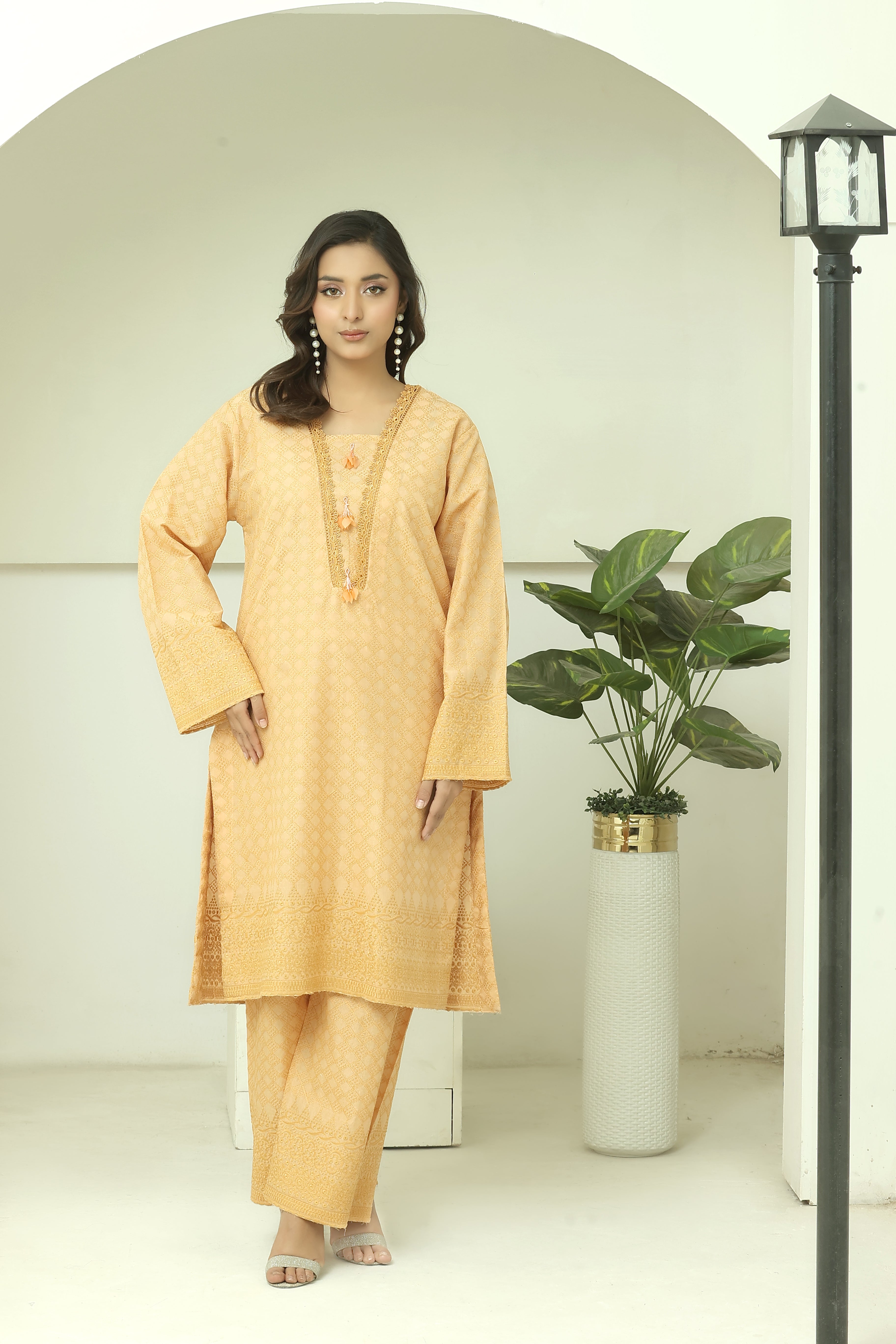Premium Chikankari Ready-to-Wear 2pcs suit