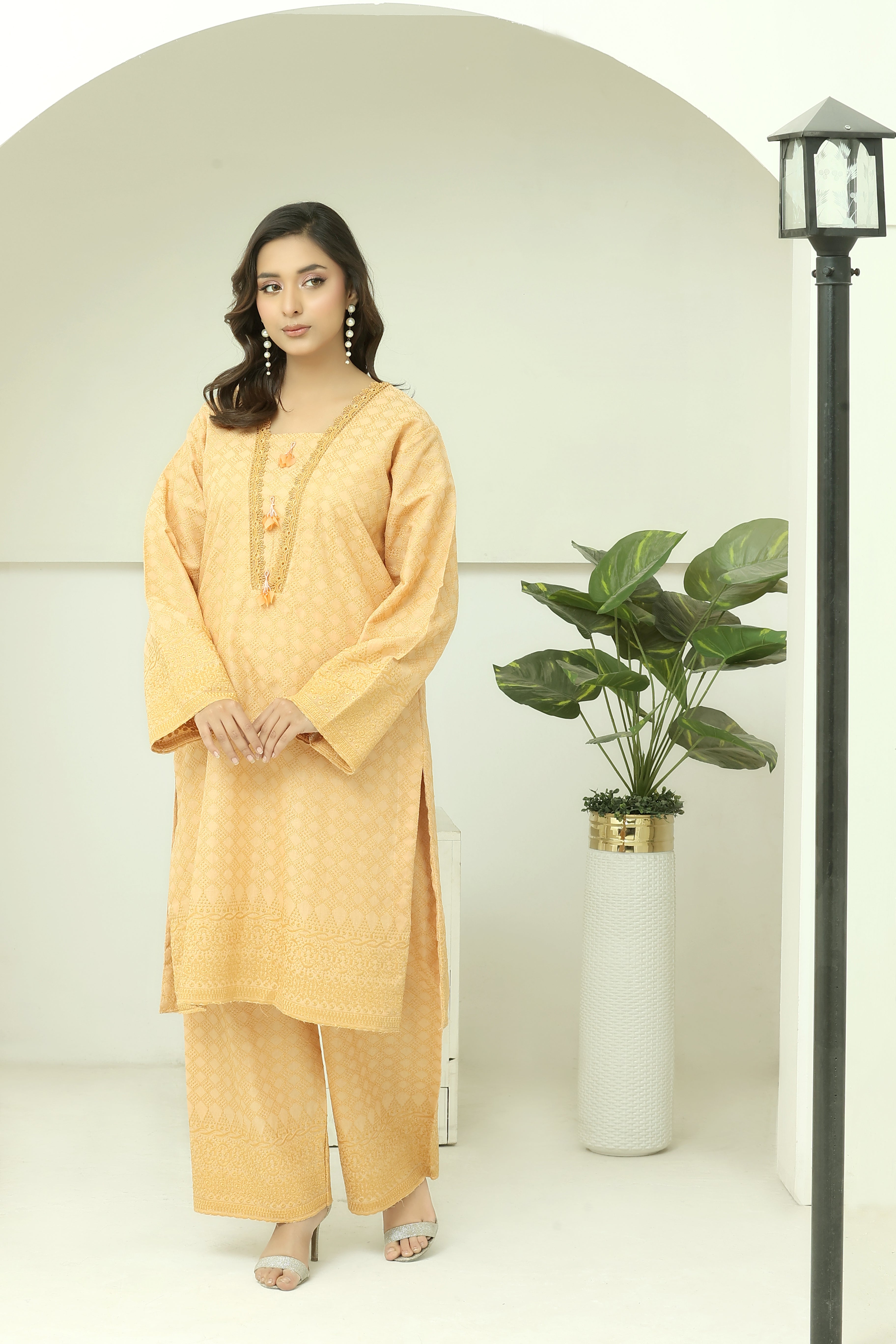 Premium Chikankari Ready-to-Wear 2pcs suit