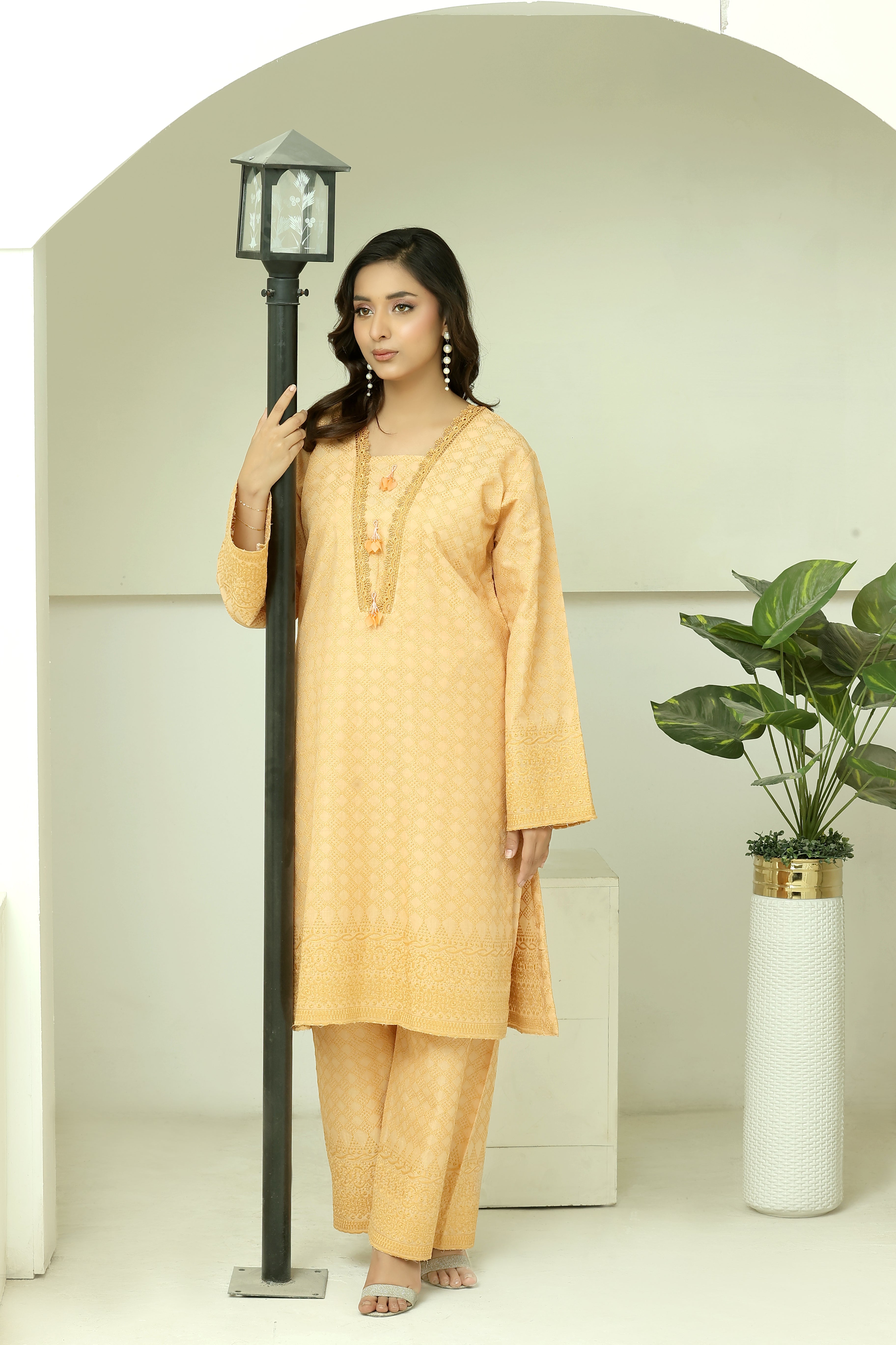 Premium Chikankari Ready-to-Wear 2pcs suit