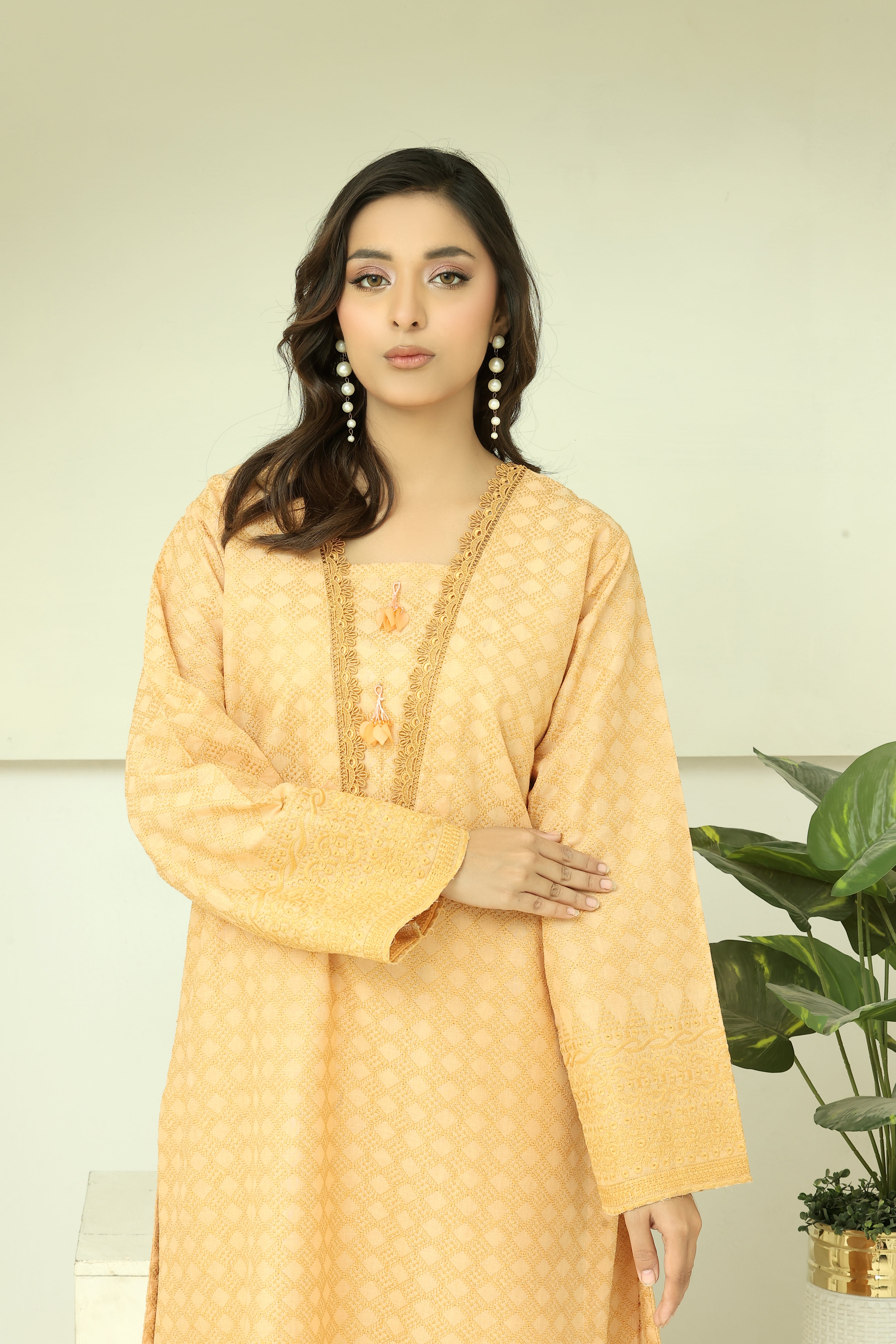 Premium Chikankari Ready-to-Wear 2pcs suit