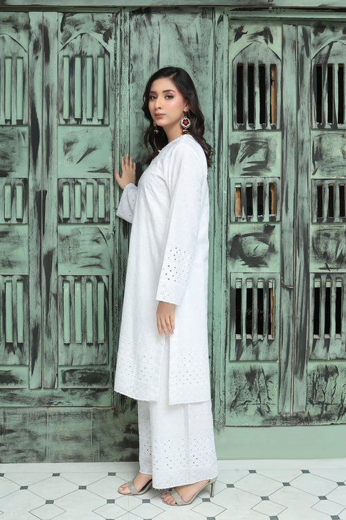 Premium Chikankari Ready-to-Wear 2pcs suit